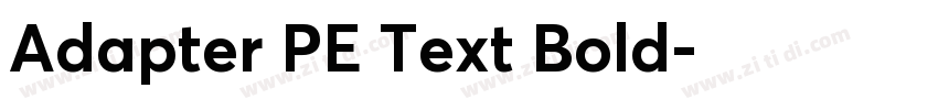 Adapter PE Text Bold字体转换